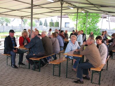 Drzewko Szczedrzyk (7)